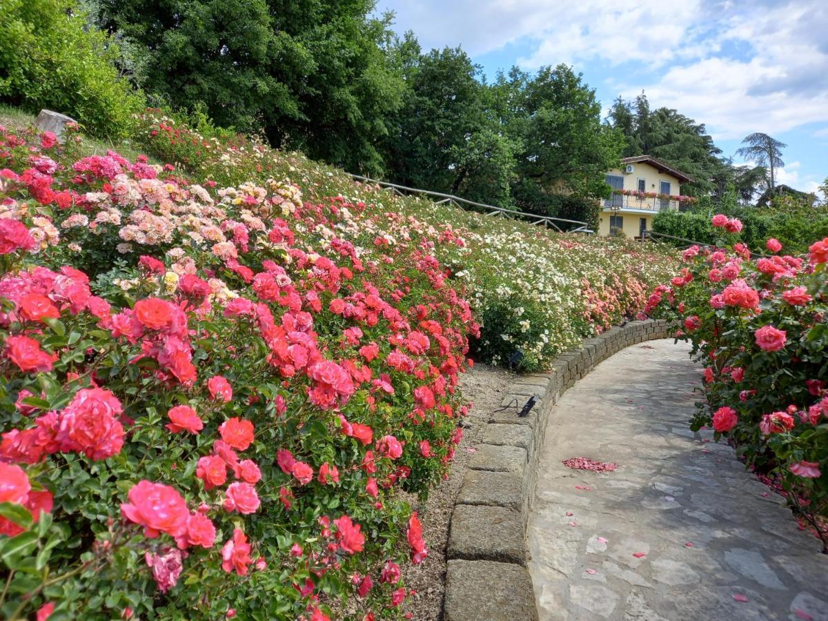 Angolo Di Paradiso 포르멜로 외부 사진